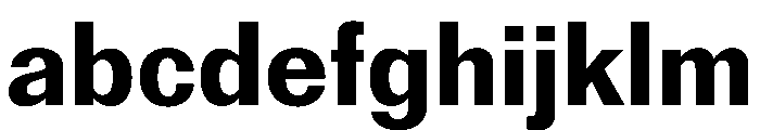 Reformationv01 Bold Instance FONT