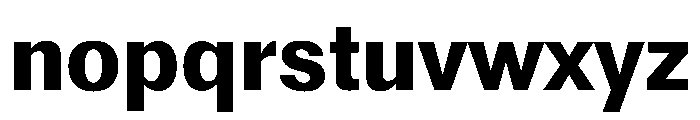 Reformationv0.1 Bold Font LOWERCASE
