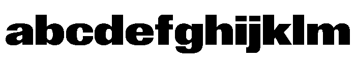 Reformationv01 WideBlack Instance FONT