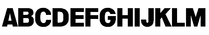 Reformationv0.1Narrow Black Font UPPERCASE