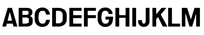 Reformationv0.1Narrow Bold Font UPPERCASE