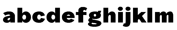 RenaGrotesk Black 5f7c5ec4 FONT