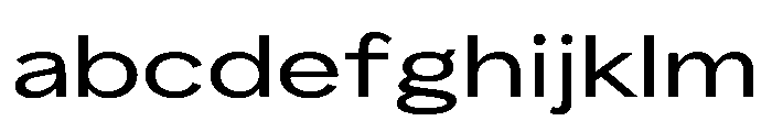 RenaGrotesk Extended FONT