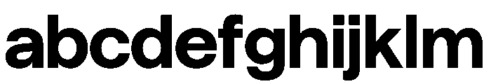 ResidenzGrotesk Bold FONT