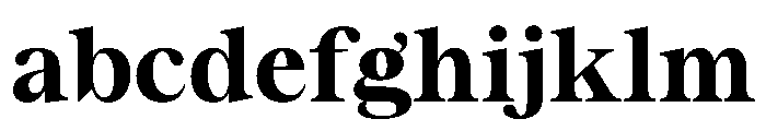 ResidenzSerif BoldStandard Instance FONT