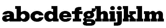 Resonanz B Black Regular Webfont FONT