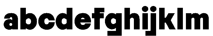 Reversa BlackText Instance FONT