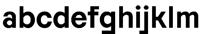 Reversa BoldText Instance FONT