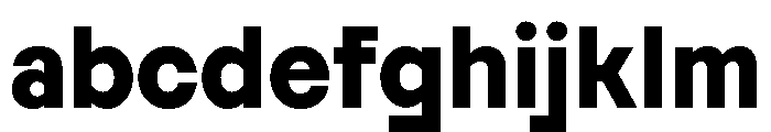 ReversaText ExtraBoldText FONT