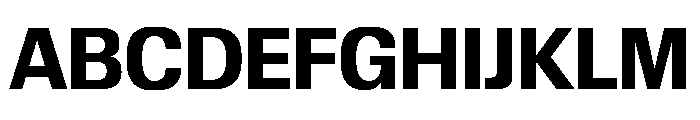 Review Bold Font UPPERCASE