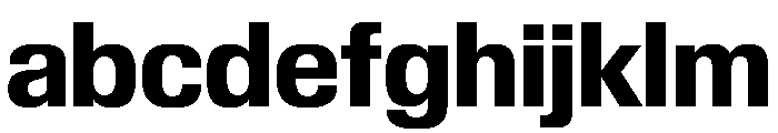 Review Bold FONT