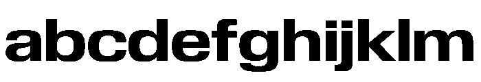 Review Wide Bold FONT