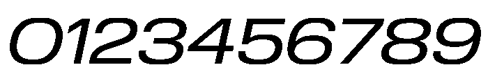 Review Wide Regular Italic Font OTHER CHARS