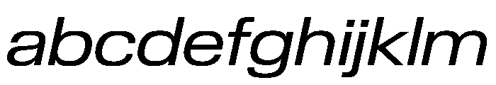 Review Wide Regular Italic FONT