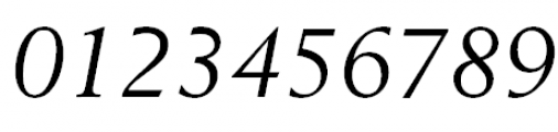 Revival 565 Italic Font OTHER CHARS