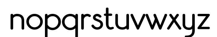 Register Sans BTN Bold Font LOWERCASE