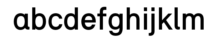 Relevant Medium Font LOWERCASE