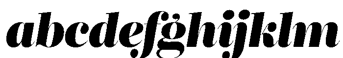 Reina Neue Black Italic FONT