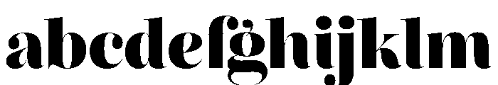 Reina Neue Display Black FONT