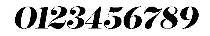 Reina Neue Extra Bold Italic Font OTHER CHARS