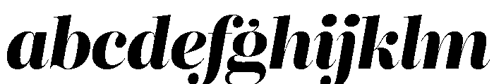 Reina Neue Extra Bold Italic FONT