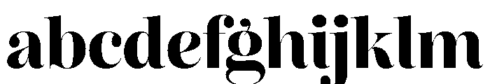 Reina Neue Extra Bold FONT