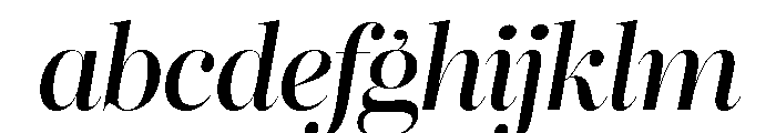 Reina Neue Medium Italic FONT
