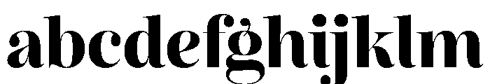 Reina Neue Small Extra Bold FONT