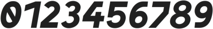 RFX Modern Heavy-Italic ttf (800) Font OTHER CHARS