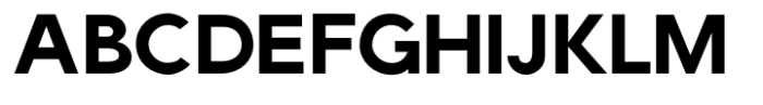 RFX Gambia Black Font UPPERCASE