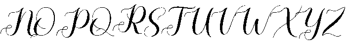 Rhapsody Script Regular otf (400) Font UPPERCASE