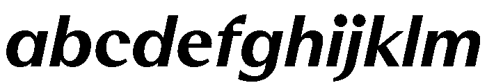 RhetorikSans BoldItalic FONT
