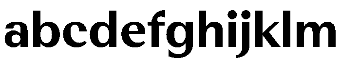 RhetorikSans Bold FONT