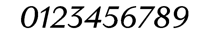 RhetorikSans Italic Font OTHER CHARS