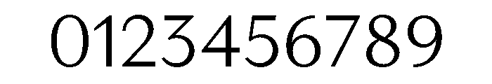RhetorikSans Light Font OTHER CHARS