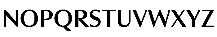 RhetorikSans Medium Font UPPERCASE