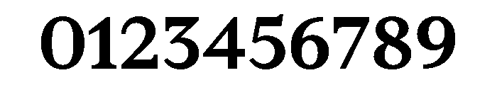 RhetorikSerif Bold Font OTHER CHARS