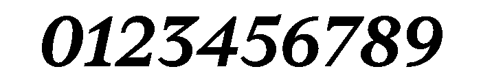 RhetorikSerif BoldItalic Font OTHER CHARS