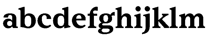 RhetorikSerif Bold FONT