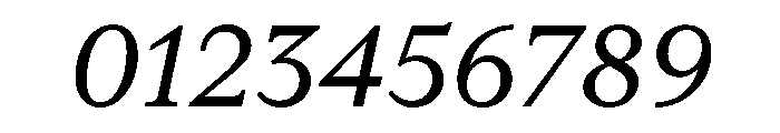 RhetorikSerif Italic Font OTHER CHARS
