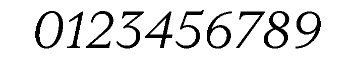 RhetorikSerif LightItalic Font OTHER CHARS