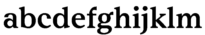 RhetorikSerif Medium FONT