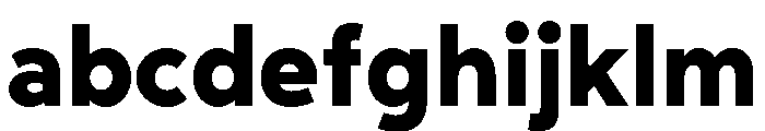 Rhizome Heavy FONT