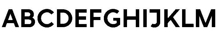 RhizomeVariable Bold Instance Font UPPERCASE