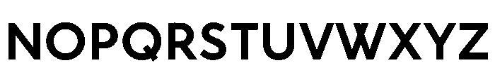 RhizomeVariable Bold Instance Font UPPERCASE