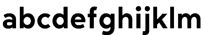 RhizomeVariable Bold Instance FONT