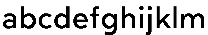 RhizomeVariable Demi Instance FONT