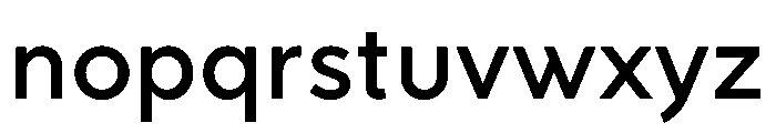 RhizomeVariable Demi Instance Font LOWERCASE