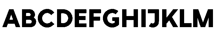 RhizomeVariable Heavy Instance Font UPPERCASE