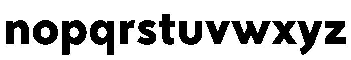 RhizomeVariable Heavy Instance Font LOWERCASE
